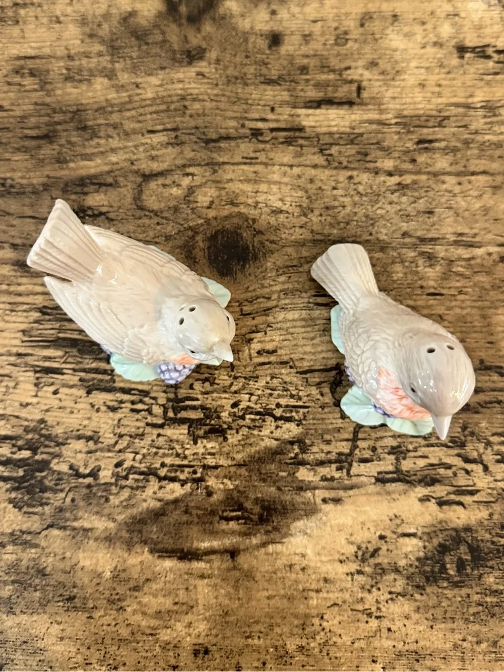 Vintage Bird Salt & Pepper Shakers | Porcelain Floral Berry